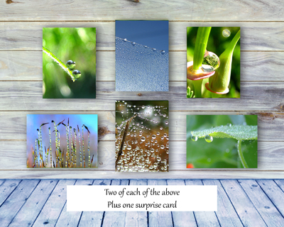 Poetry of Nature Greeting Card Collection - Dew Drops II